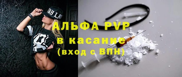 индика Аркадак