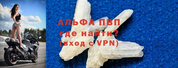 стаф Алексин